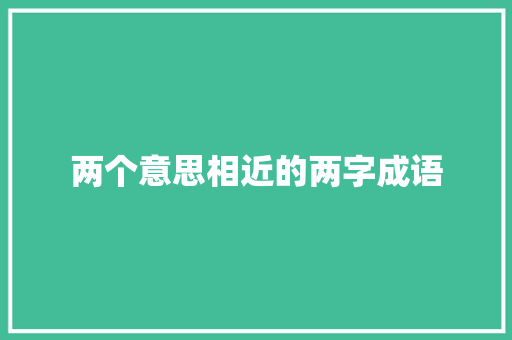 两个意思相近的两字成语