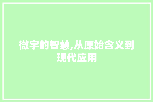 微字的智慧,从原始含义到现代应用