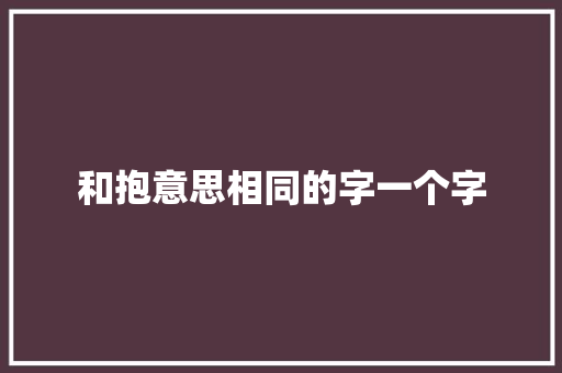 和抱意思相同的字一个字