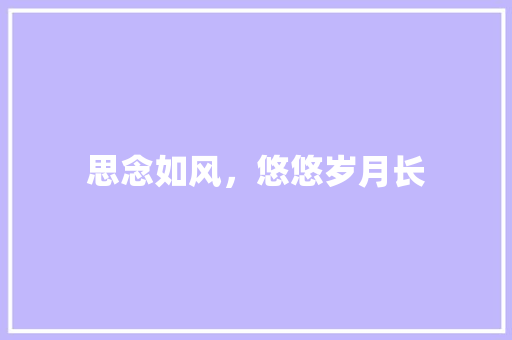 思念如风,悠悠岁月长