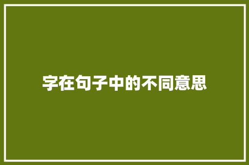 字在句子中的不同意思