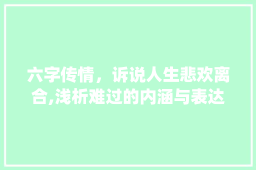 六字传情，诉说人生悲欢离合,浅析难过的内涵与表达_表达难过意思的6个字