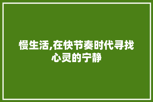 慢生活,在快节奏时代寻找心灵的宁静