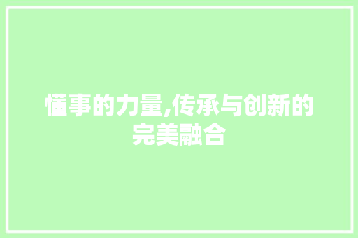 懂事的力量,传承与创新的完美融合