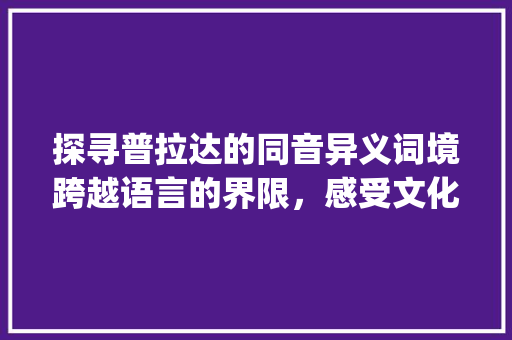 探寻普拉达的同音异义词境跨越语言的界限，感受文化的交融_普拉达的同音字名意思