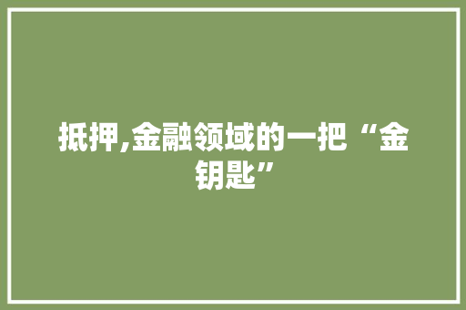 抵押,金融领域的一把“金钥匙”