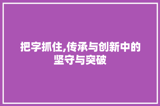 把字抓住,传承与创新中的坚守与突破