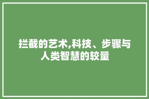 拦截的艺术,科技、步骤与人类智慧的较量