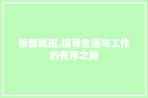 按部就班,探寻生活与工作的有序之路