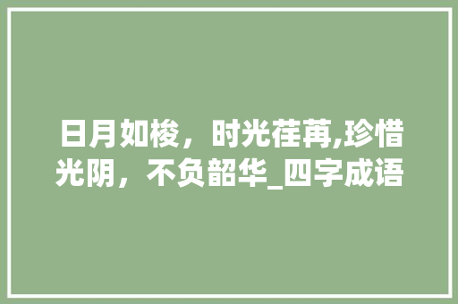 日月如梭，时光荏苒,珍惜光阴，不负韶华_四字成语日月如梭的意思  第1张