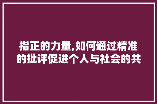 指正的力量,如何通过精准的批评促进个人与社会的共同进步