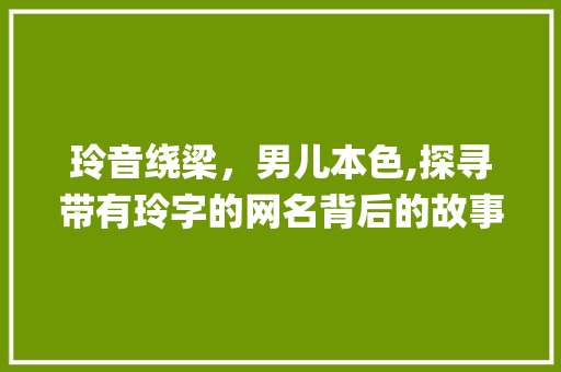 玲音绕梁，男儿本色,探寻带有玲字的网名背后的故事_有意思的网名带玲字男的