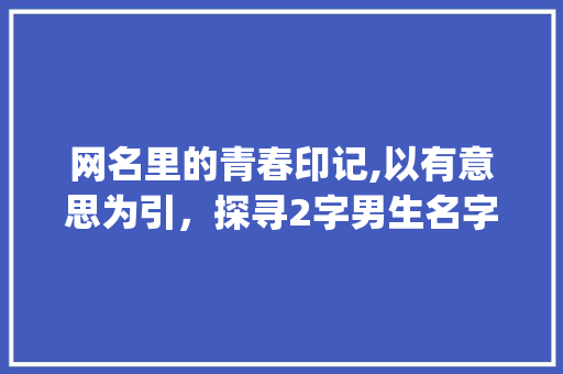 网名里的青春印记,以有意思为引，探寻2字男生名字的独特魅力_有意思的网名2字男生