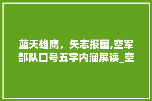 蓝天雄鹰，矢志报国,空军部队口号五字内涵解读_空军部队口号5字的意思