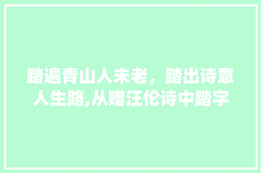 踏遍青山人未老，踏出诗意人生路,从赠汪伦诗中踏字的意境感悟_赠汪伦诗里踏字的意思