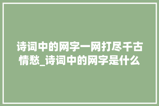 诗词中的网字一网打尽千古情愁_诗词中的网字是什么意思