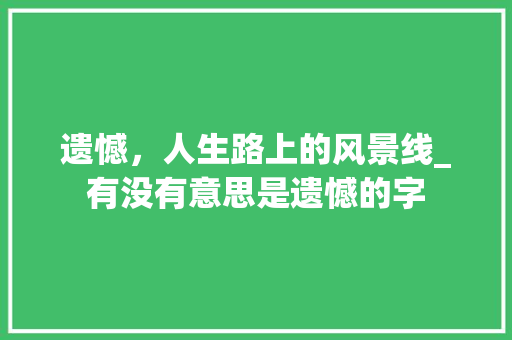 遗憾，人生路上的风景线_有没有意思是遗憾的字
