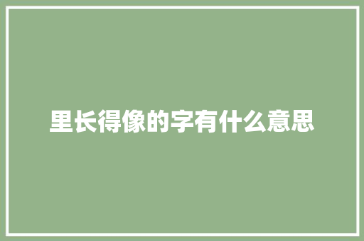 里长得像的字有什么意思