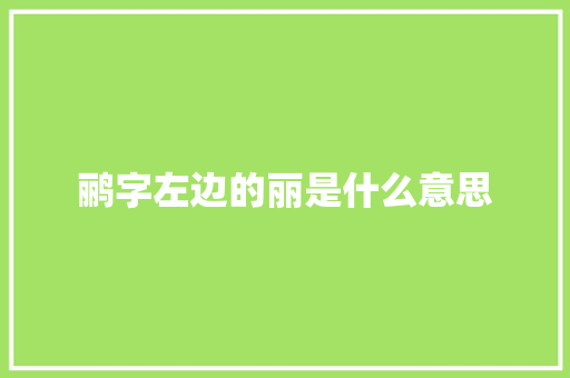 鹂字左边的丽是什么意思